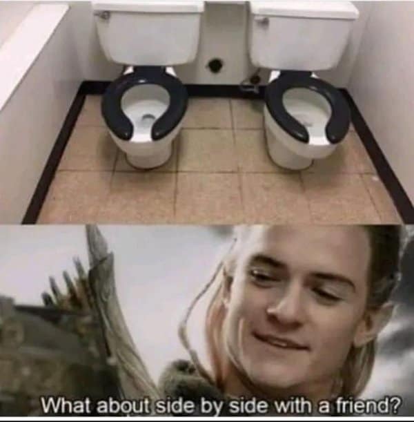 A classic meme utilizing a Lord of the Rings quote about side by side toilets.
