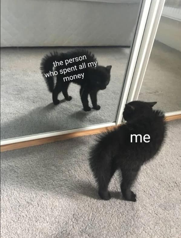 A classic meme of a black cat looking at its reflection labeled the person who spent all my money.