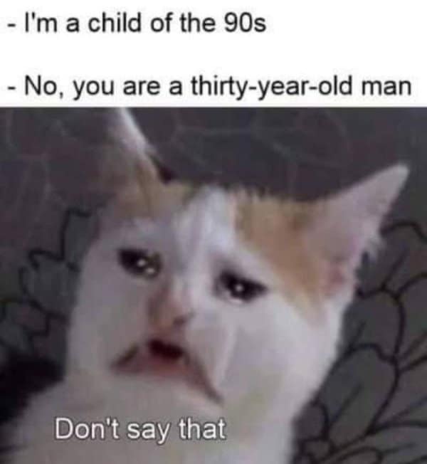 A classic meme of a crying cat denying being a thirty-year-old man instead of a child of the 90s.