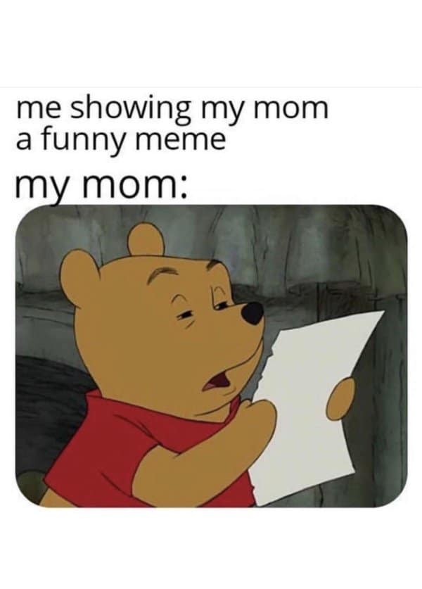A classic meme showing Winnie the Pooh reading a paper intently representing a mom trying to understand a meme.