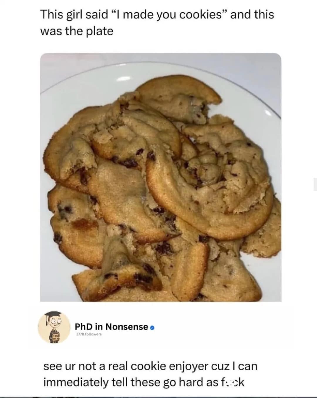 Ugly pile of delicious looking chocolate chip snacks in a cookie meme