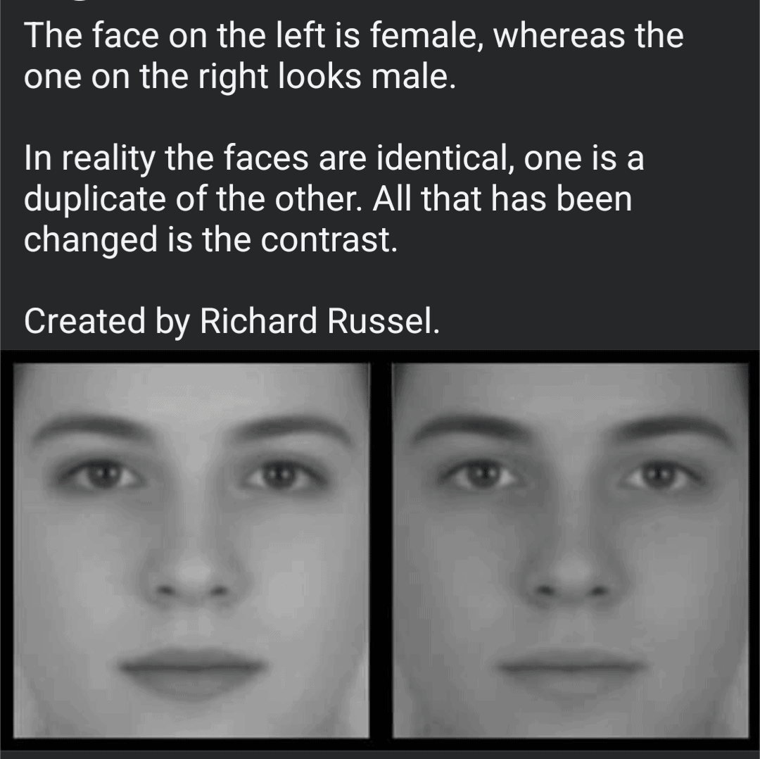 Identical faces appearing as different genders due to contrast changes cool optical illusions.