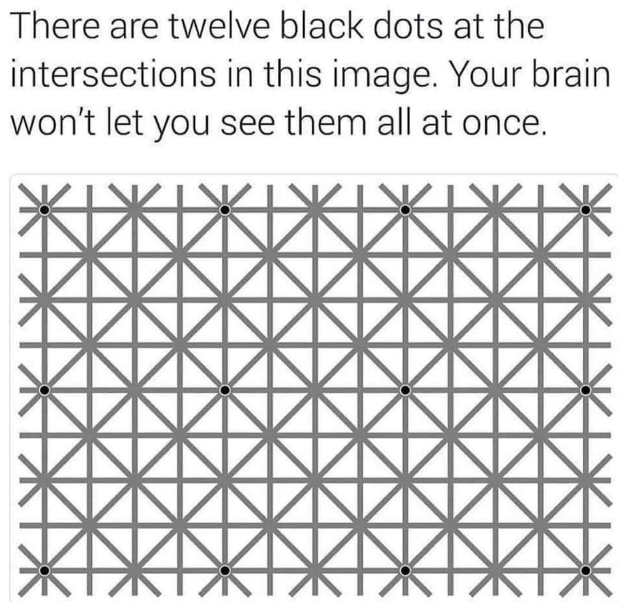 Grid showing twelve black dots that disappear when looked at directly cool optical illusions.