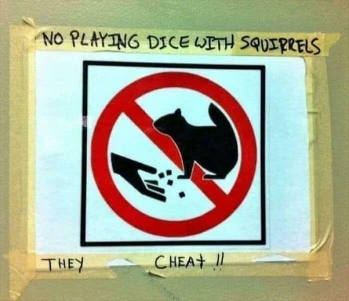 A creative vandalism sign warning people not to play dice with cheating squirrels.
