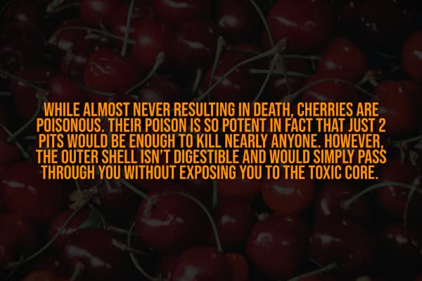 This creepy fact reveals that cherry pits contain enough poison to kill you.