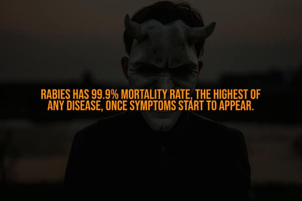 This creepy fact highlights the 99.9% mortality rate of Rabies once symptoms appear.
