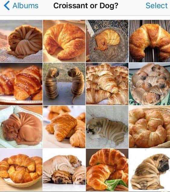 A croissant meme showing a grid comparing Shar Pei dogs to pastries.