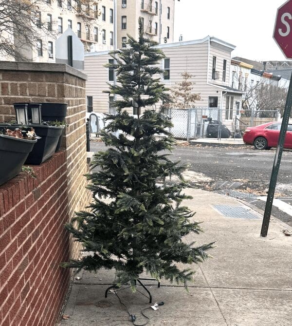 A curb alert image of a Christmas tree standing alone on a city sidewalk.