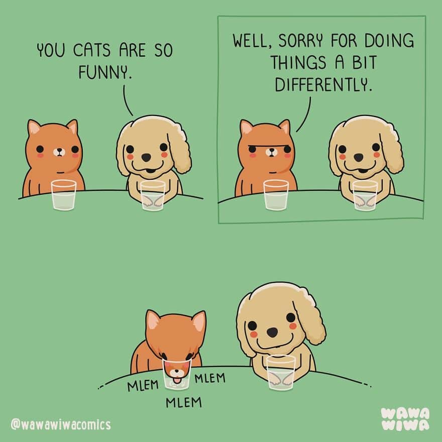 A funny comic comparing how cats drink water versus how dogs drink water.
