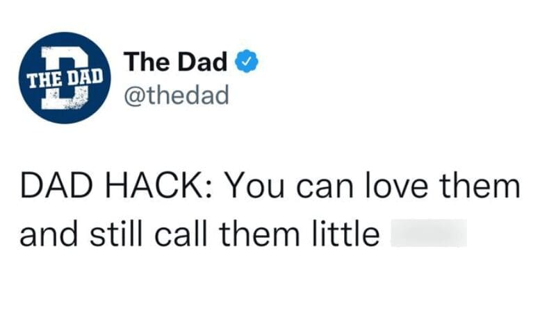 A dad meme tweet offering a hack about loving kids while calling them little names.