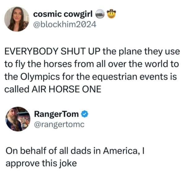 A dad meme approving a pun about a plane for horses being called Air Horse One.