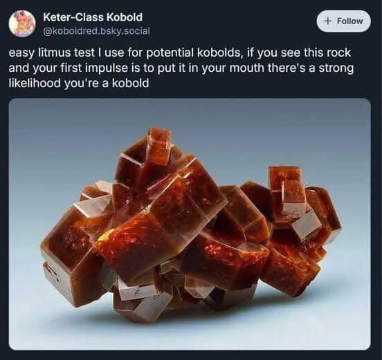 A d&d meme tweet using a shiny rock as a litmus test for Kobold players.