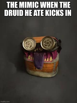 A d&d meme showing a mimic chest wearing goggles looking high after eating a druid.