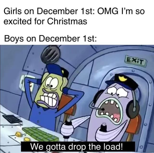 Spongebob police characters panicking in a cockpit in a December 1st meme.