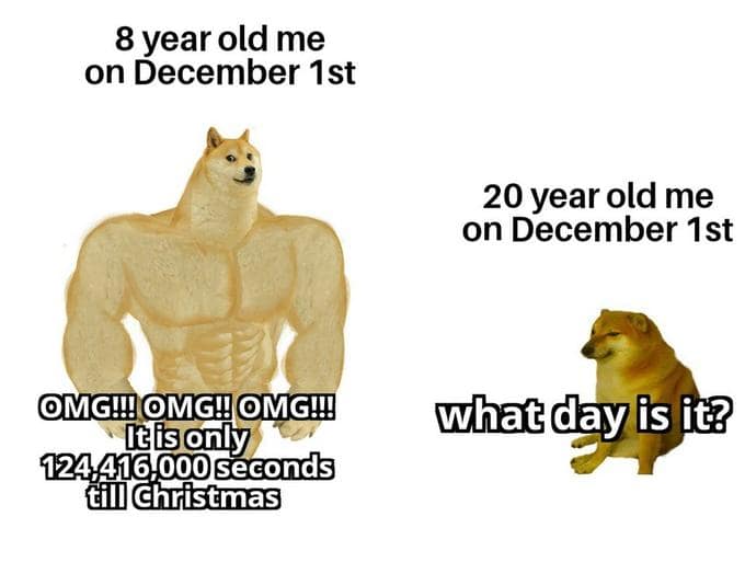 Doge meme comparing excited 8-year-old vs. tired 20-year-old on December 1st.