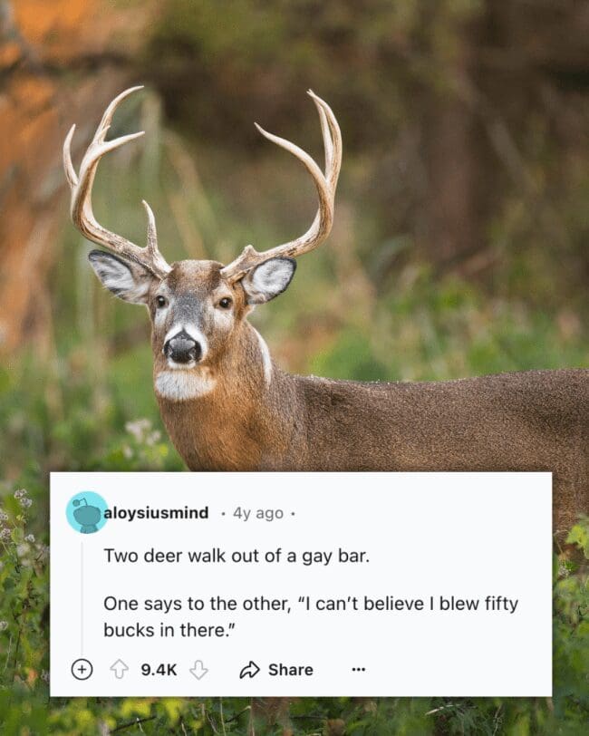 A dirty joke featuring a buck with large antlers and a punchline about blowing fifty bucks.