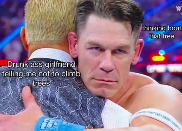 A funny meme of John Cena hugging someone while thinking about climbing a tree.