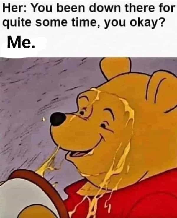 A dirty meme showing Winnie the Pooh covered in honey after being down there too long.