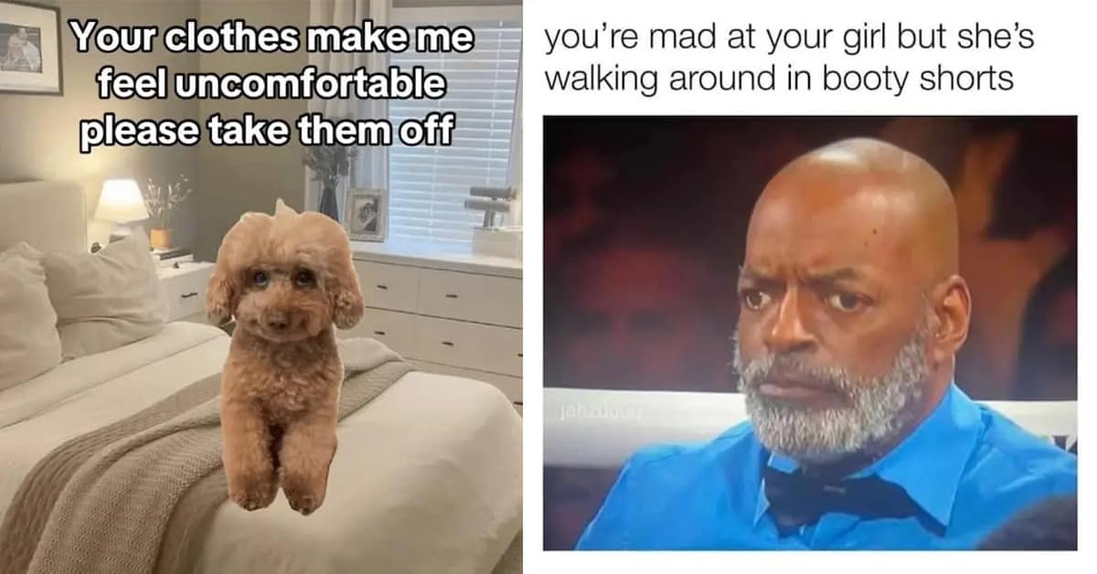 Collection of dirty meme images and flirty meme compilations featuring Winnie the Pooh and house of the dragon jokes.