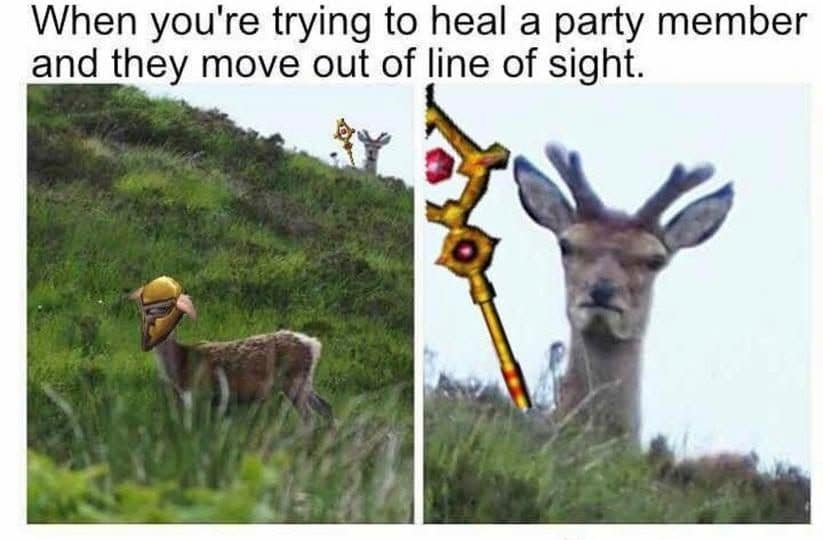 A dnd meme showing a deer judging a healing spell.