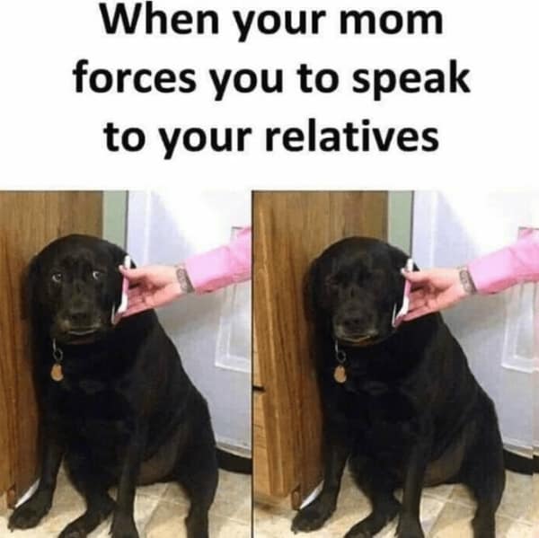 Black labrador looking uncomfortable while someone holds a phone to its ear.