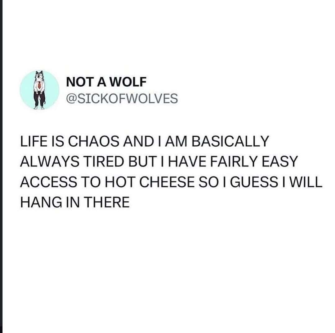 Not A Wolf tweet about surviving chaos through hot cheese access as a food meme