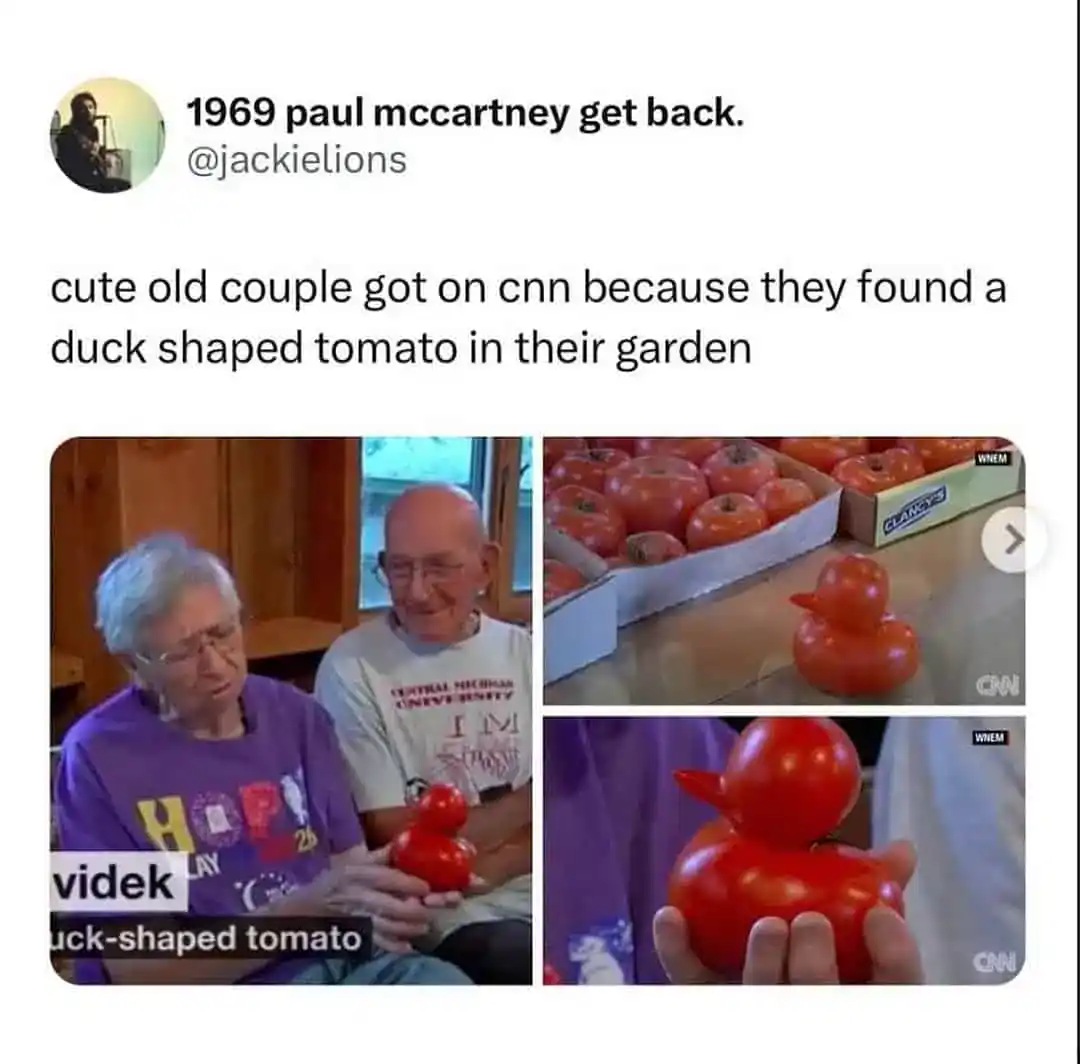 A food meme tweet about an elderly couple finding a duck-shaped tomato in their garden.
