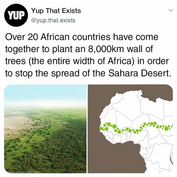 A fun random fact map showing the Great Green Wall of trees planted across Africa.
