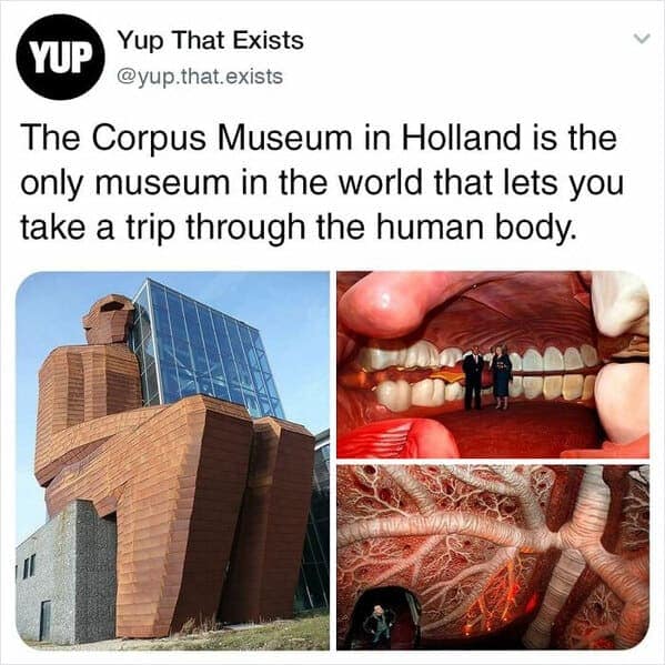A fun random fact showing the exterior of the Corpus Museum in Holland shaped like a human body.