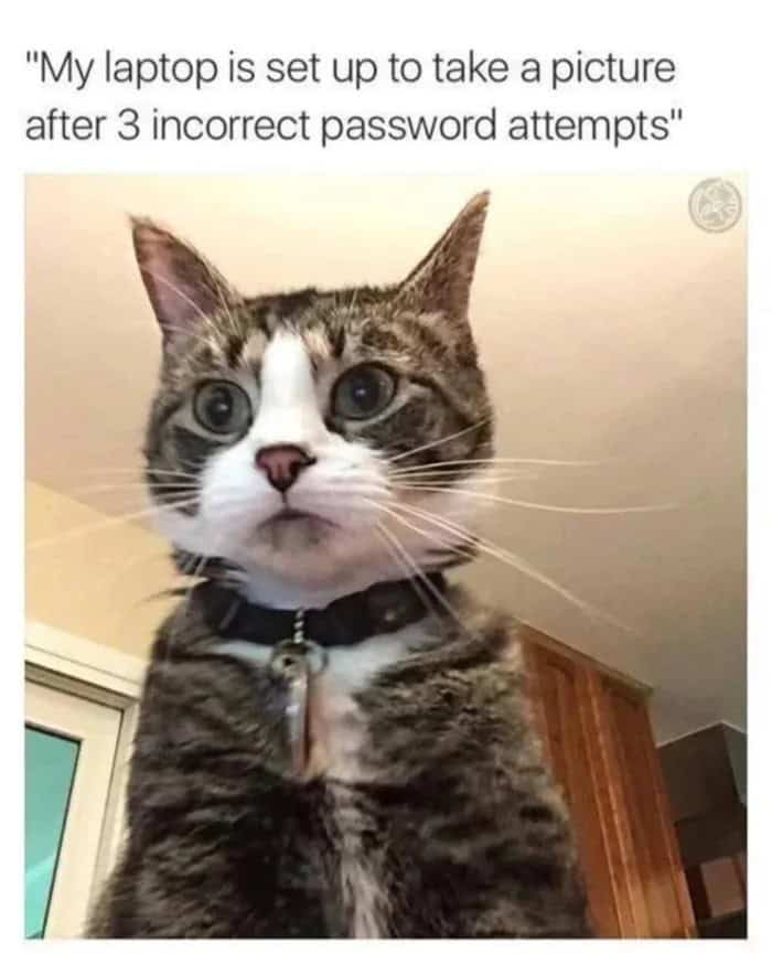 A funny cat meme showing a wide-eyed cat face as a failed password attempt photo.