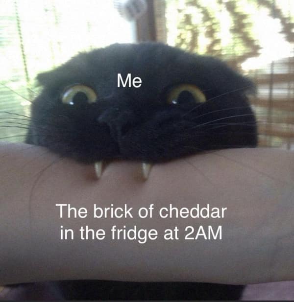 A funny cheese meme of a black cat biting an arm representing eating cheddar at 2AM.