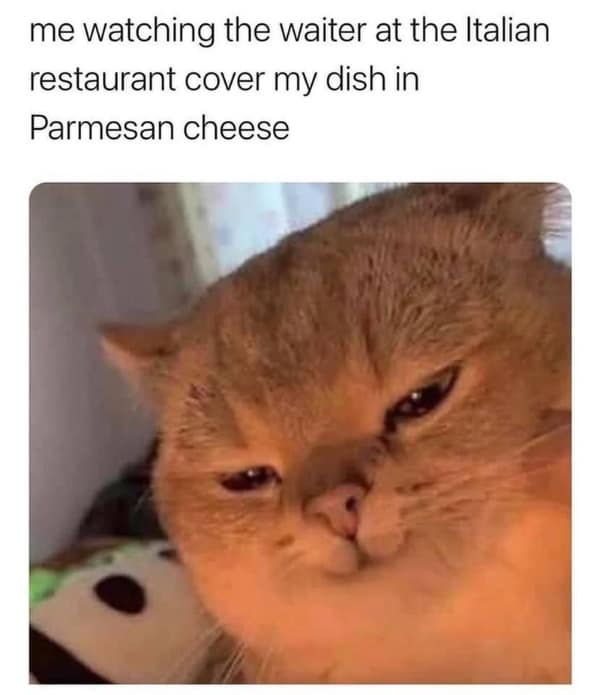 A funny cheese meme of a smug cat watching a waiter grate Parmesan cheese.