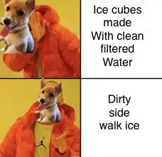A funny dog meme comparing clean filtered ice cubes to dirty sidewalk ice.