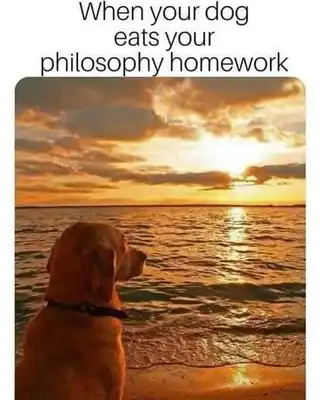 A funny dog meme of a dog staring at a sunset with text about eating philosophy homework.