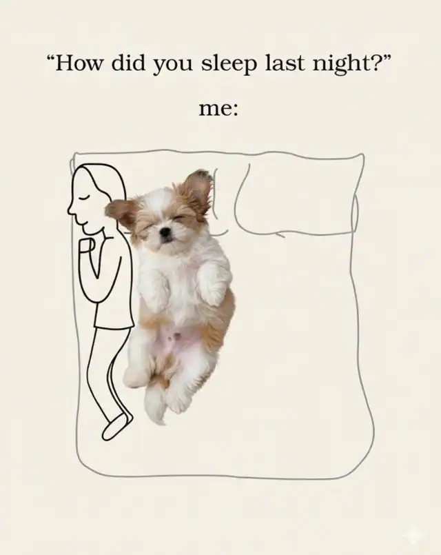 A funny dog meme comparing a person sleeping on the edge to a dog taking up the whole bed.