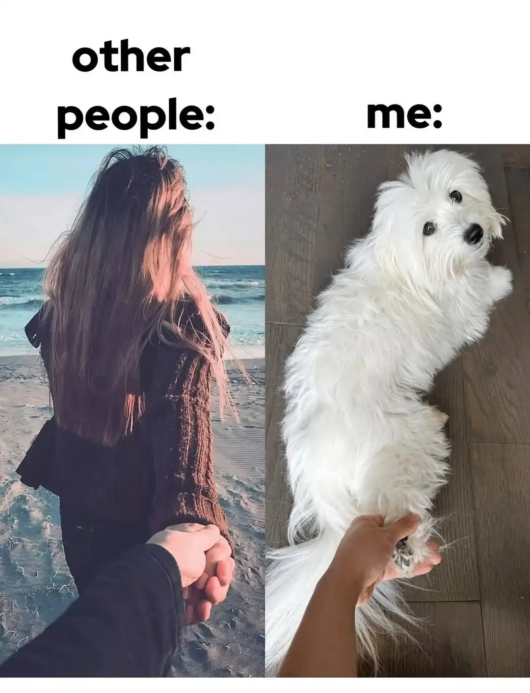 A funny dog meme comparing holding hands with a partner to holding a white dog's paw.