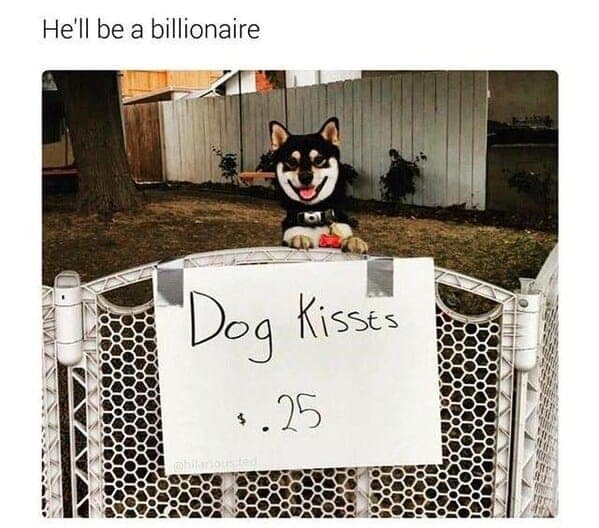 Shiba Inu dog running a kissing booth for 25 cents in a funny dog meme.