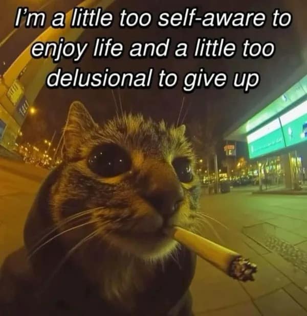 Cat smoking a cigarette with text about being too self-aware to enjoy life.