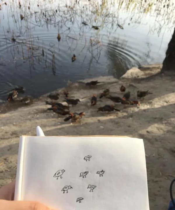 Hand holding sketchbook with drawing of birds standing in formation on riverbank.