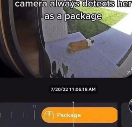 Security camera footage identifying a Corgi dog lying on a porch as a delivered package.