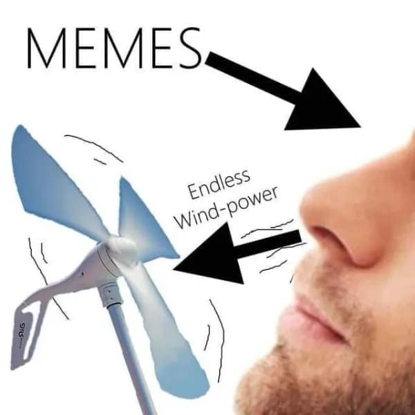 Diagram illustrating memes entering the brain and causing a sharp exhale from the nose.