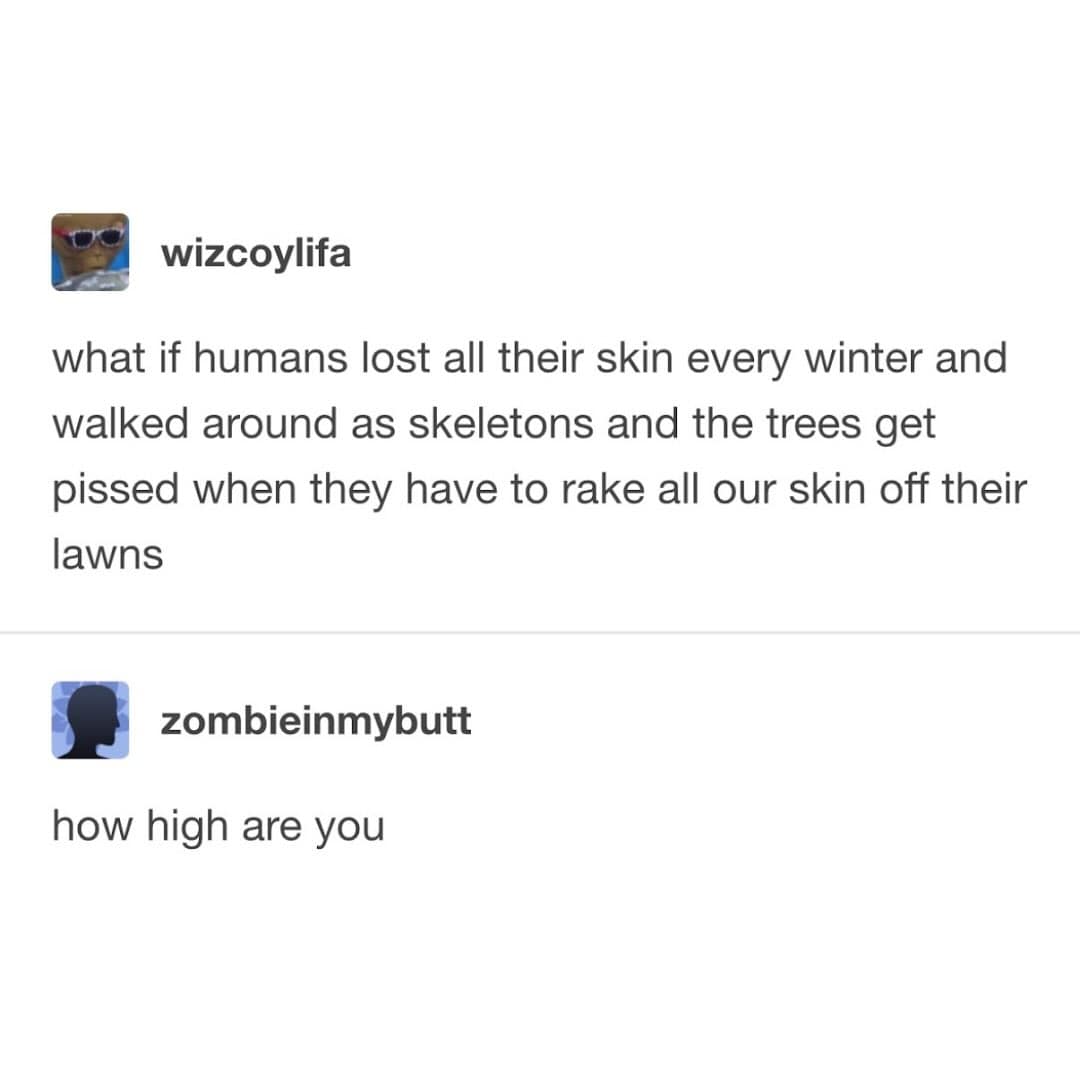 Tumblr thread wondering if humans shed skin like leaves in winter.