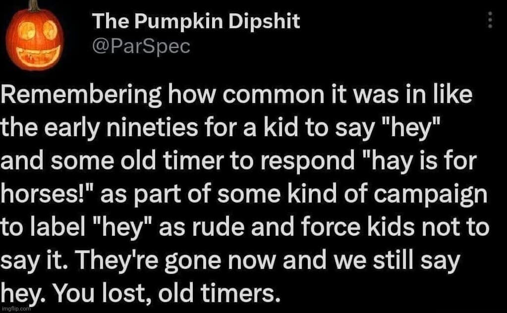 We won the war. The "Old Timers" who scolded us for saying "Hey" have lost, and the phrase "Hay is for horses" is extinct. This funny meme is a victory lap for 90s kids. What old-school saying needs to die out next?
