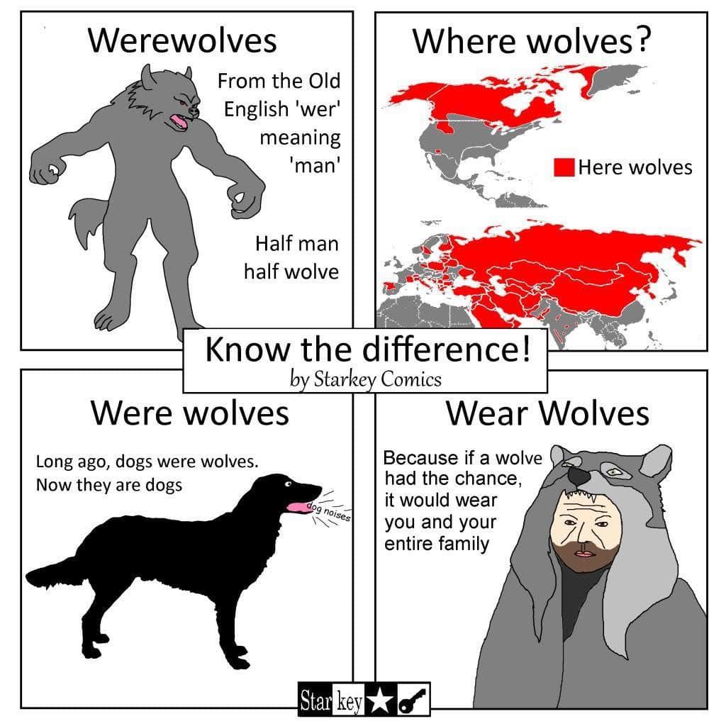 A funny meme chart explaining the difference between werewolves and "wear wolves".