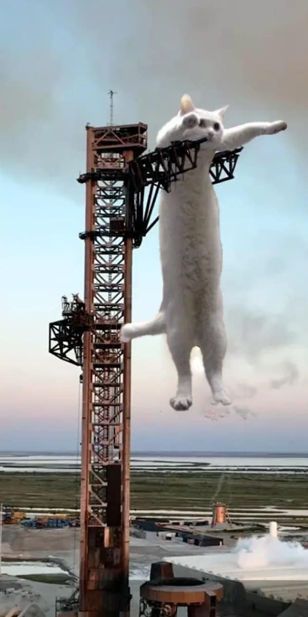 Giant white cat hanging off SpaceX Starship launch tower funny meme edit.