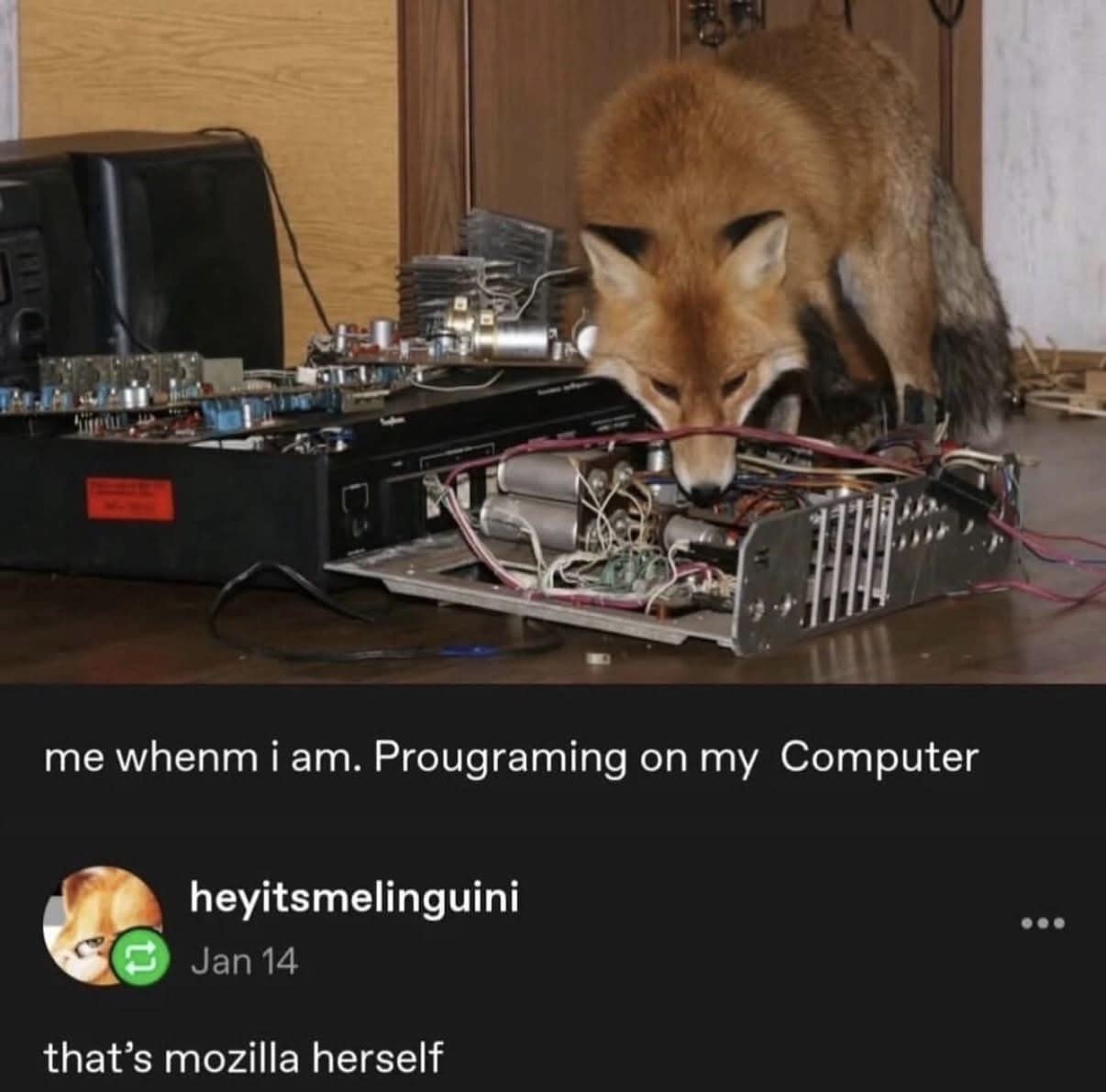 This funny meme shows a real fox investigating computer hardware, labeled as "Mozilla herself".