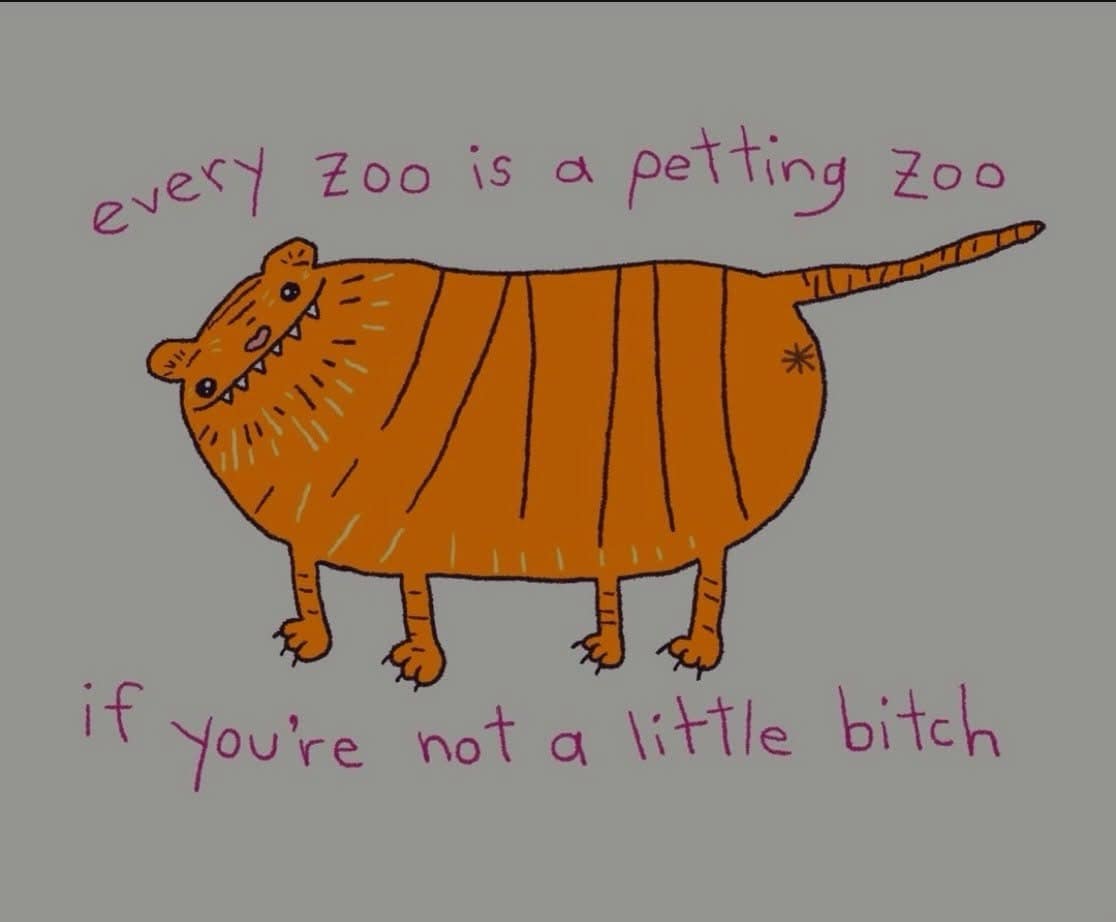 Crude drawing of round tiger with caption about petting zoo danger.