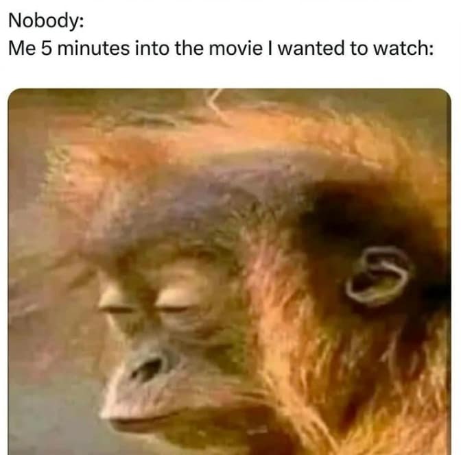 Orangutan falling asleep sitting up representing movie watchers funny memes.