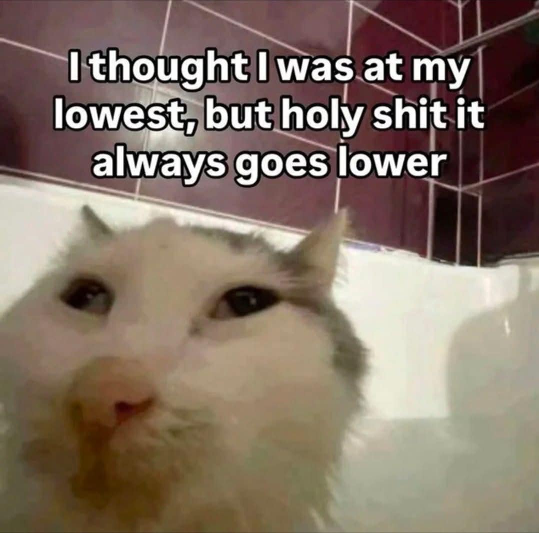 Sad wet cat in bathtub with caption about rock bottom funny memes.