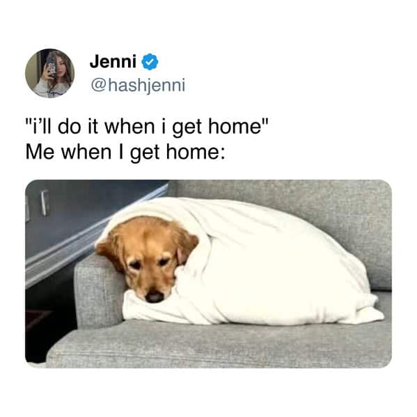 A funny memes for women comparison of a dog under a blanket to post-work laziness.